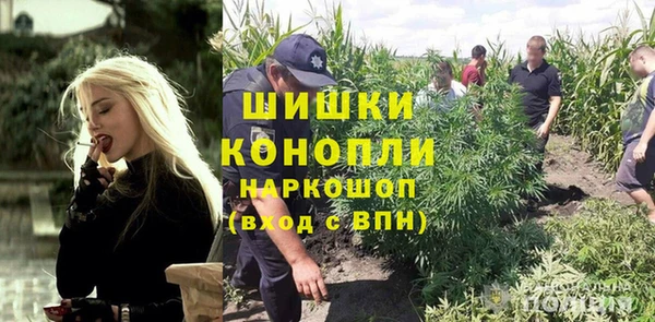 дживик Алексин
